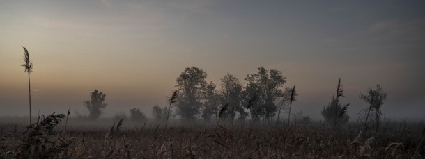 Die Landschaft im Donbass