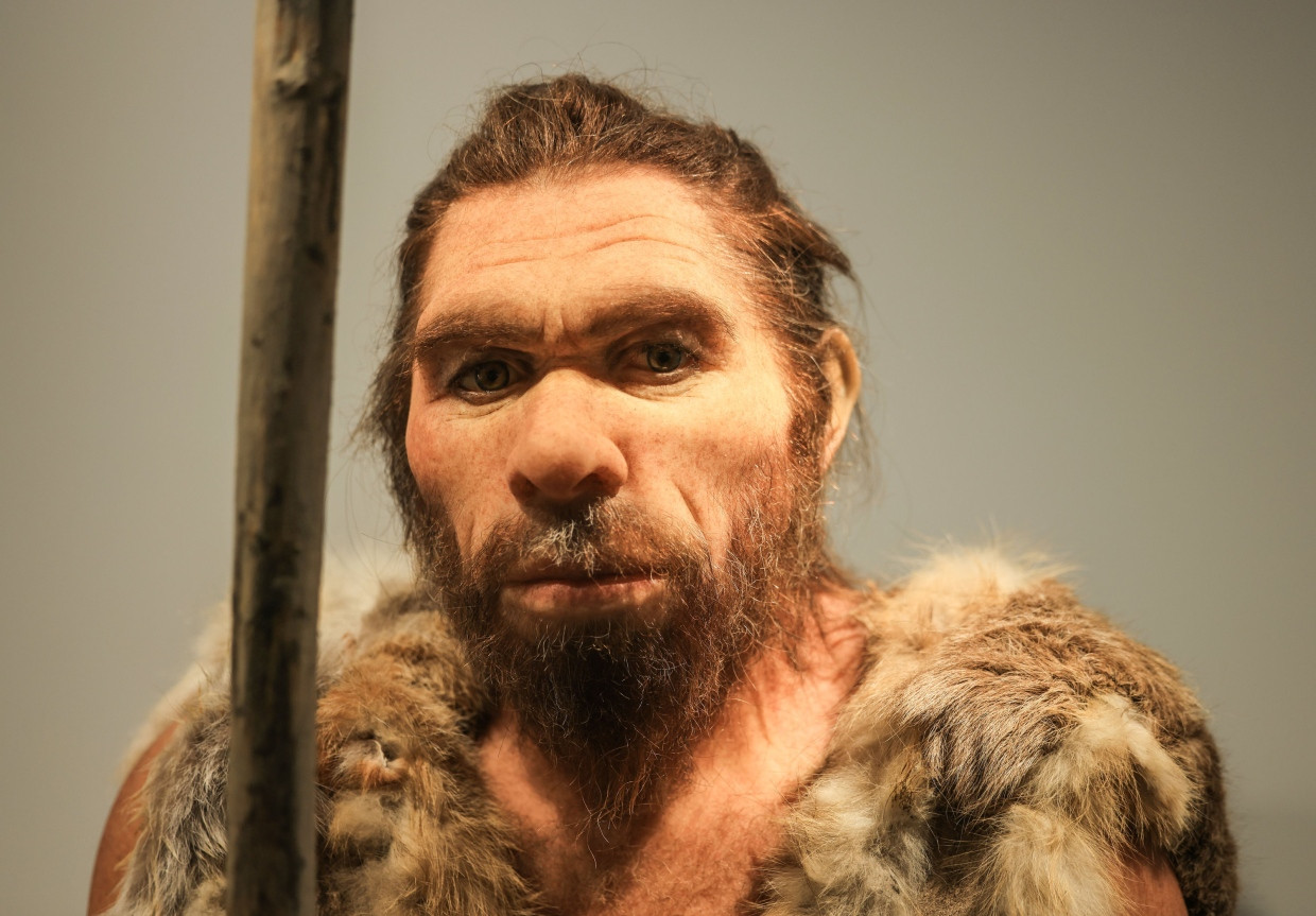 Diese Nachbildung des Neandertalers steht im LVR-LandesMuseum Bonn.