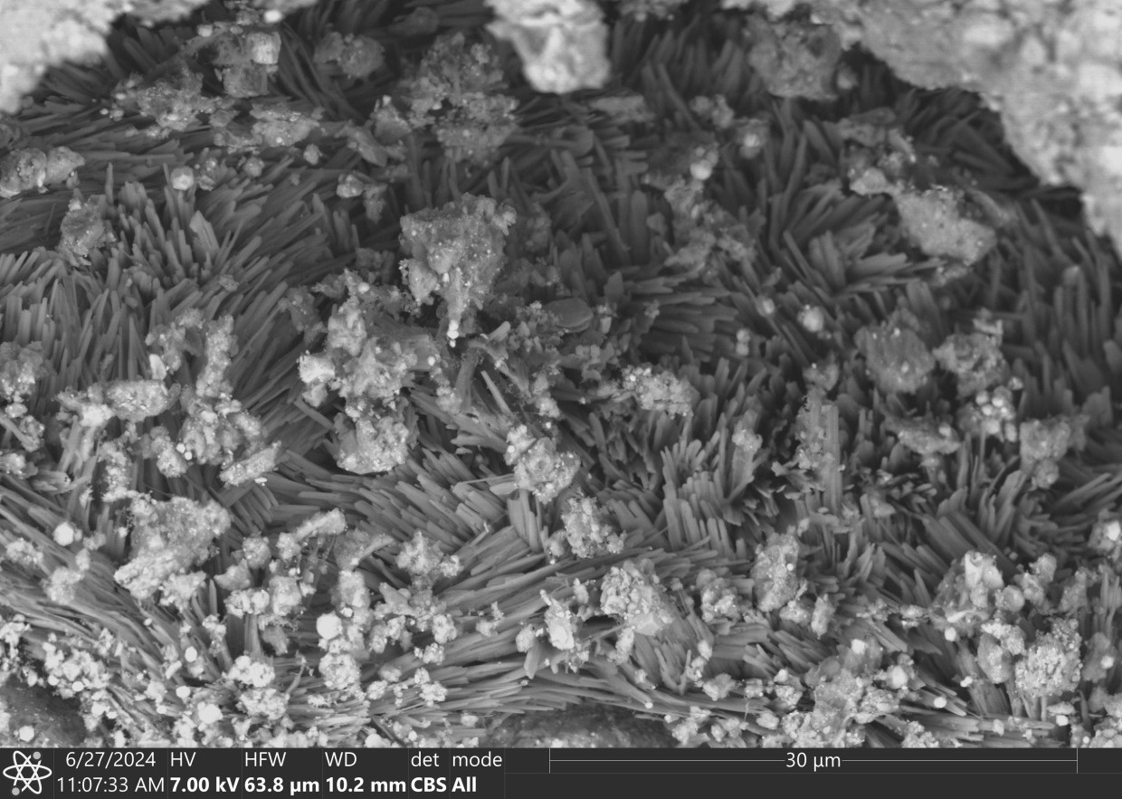 Kristalle des Minerals Trona aus dem Probenmaterial vom Asteroiden Bennu, Die Kristallnadeln sind zwischen fünf und zehn Mikrometer lang. Sie bilden eine Salzader, in tonigem Gestein, von dem auch einige Brösel auf den Kristallmassen zu sehen sind.