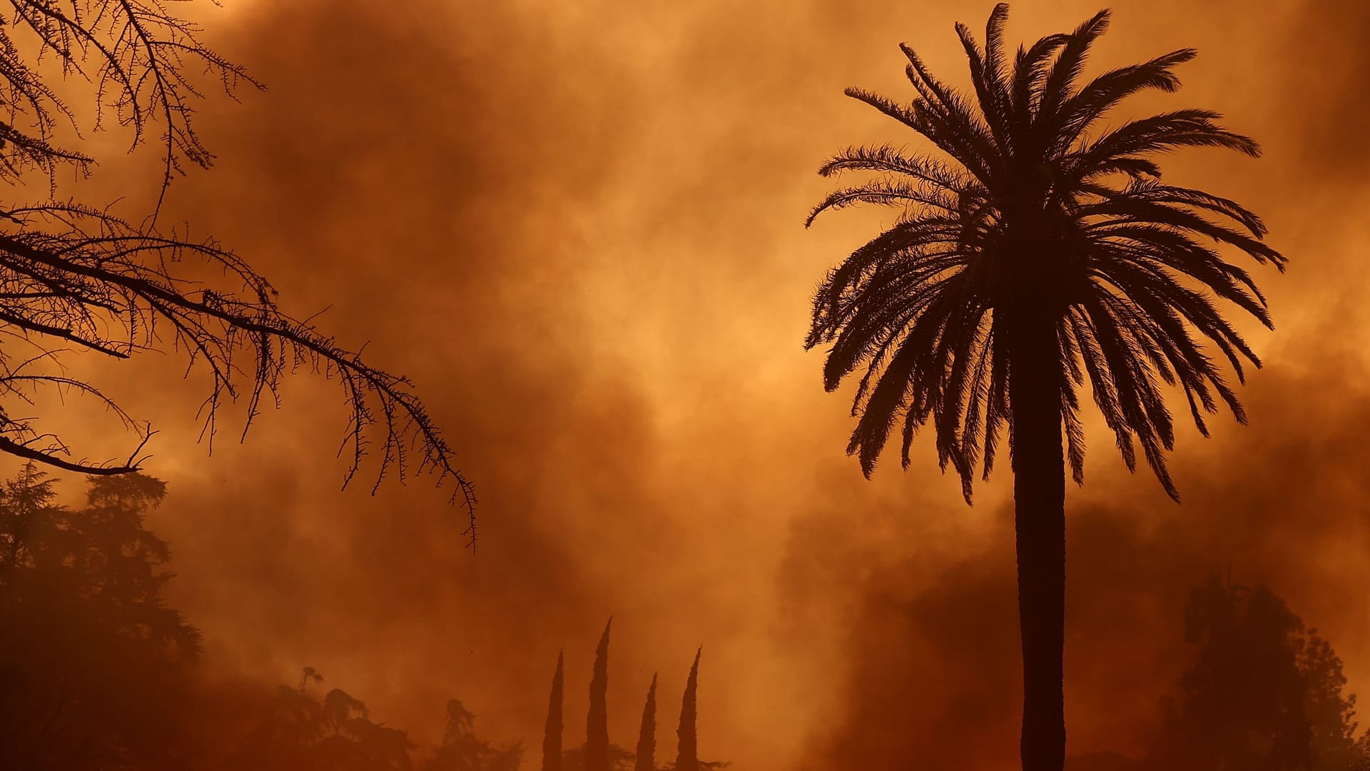 Verheerende Feuer wüten aktuell in Los Angeles.