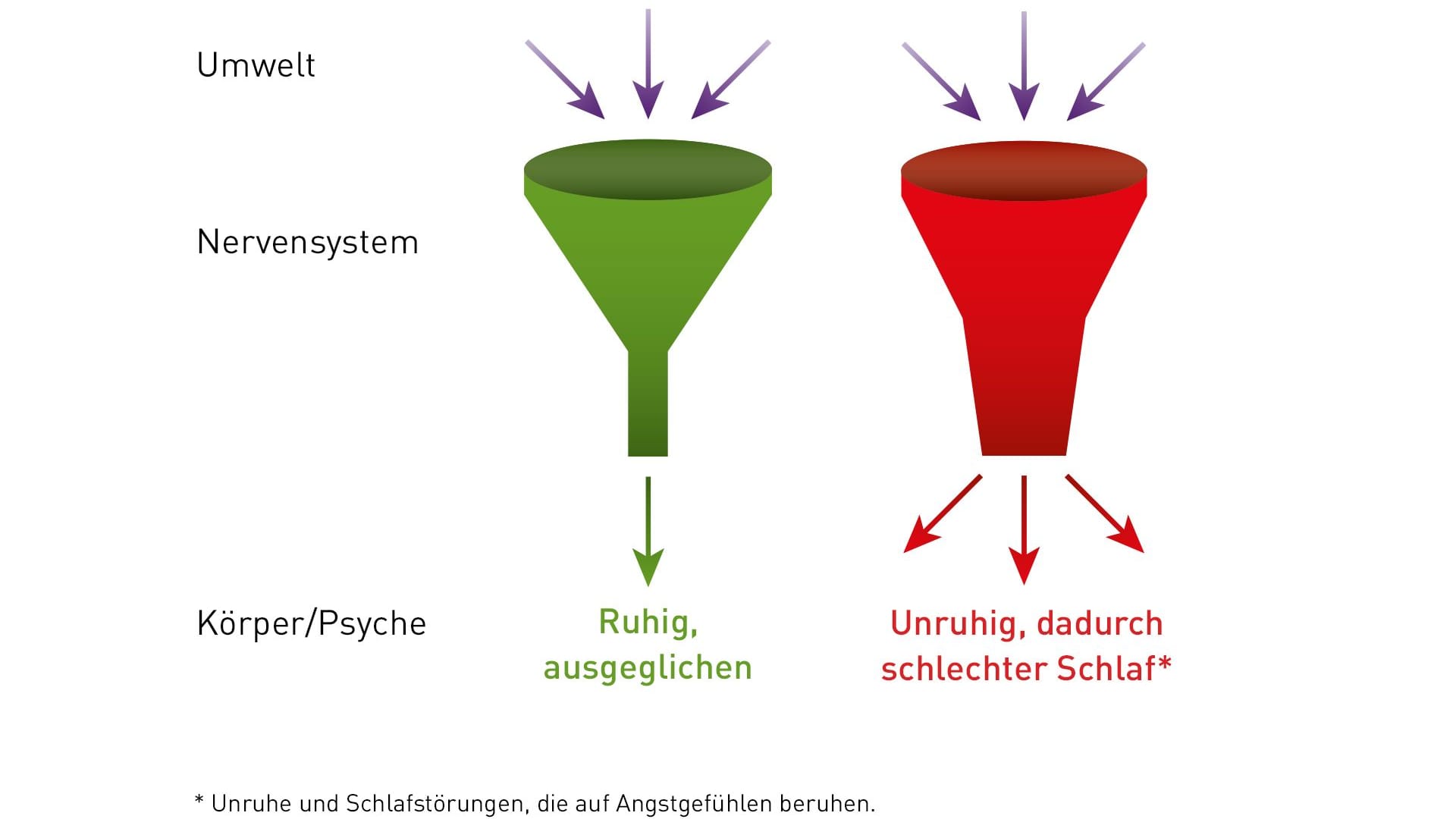 Ist der Reizfilter des Nervensystems überlastet, kommt es zu einer Übererregung der Nervenzellen.