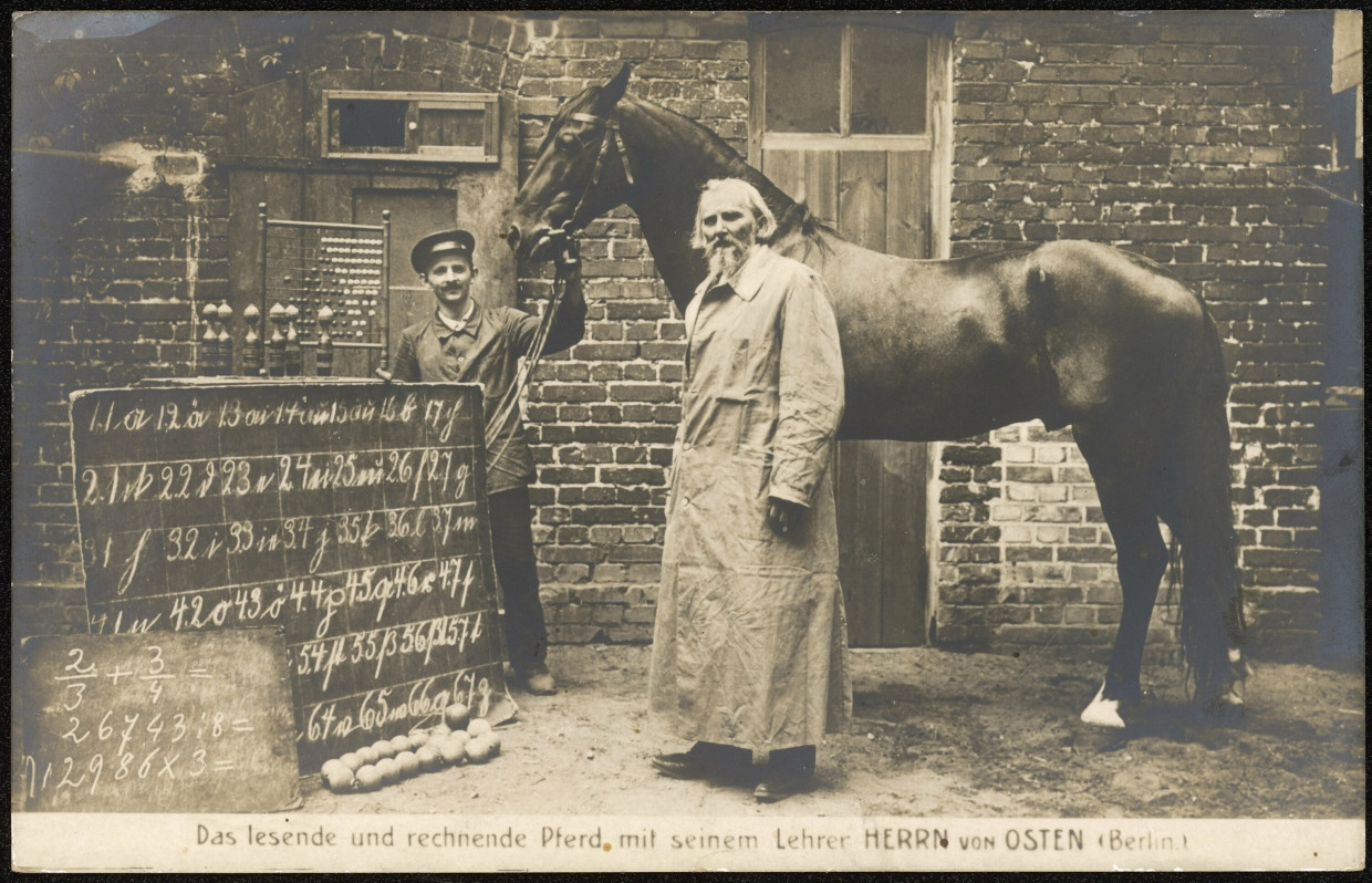 Korrekte Antwort jedoch aus den falschen Gründen: Der echte Kluge Hans mit seinem Besitzer Wilhelm von Osten (rechts).