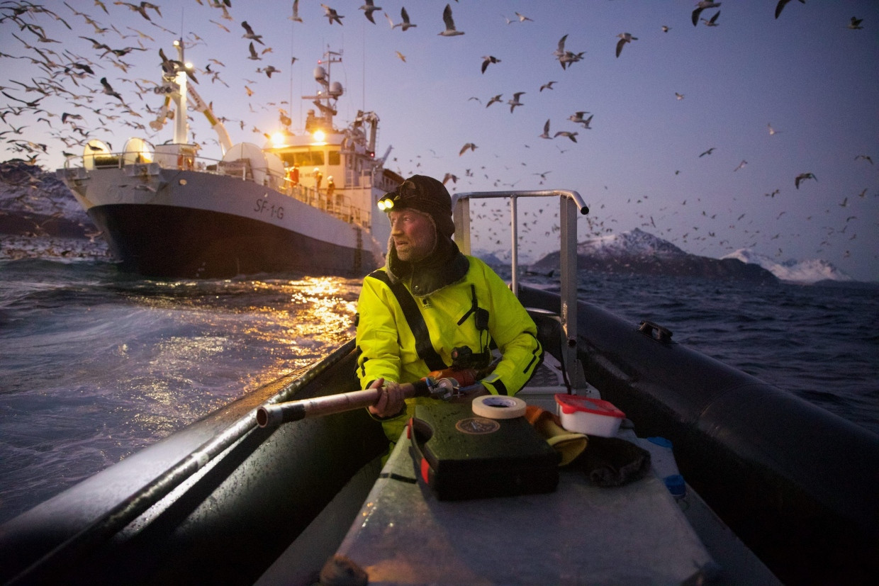 Auf der Suche nach Walen: Audun Rikardsen mit Luftgewehr. Den Orca im Hintergrund hätte die „Nature“-Jury fast übersehen.