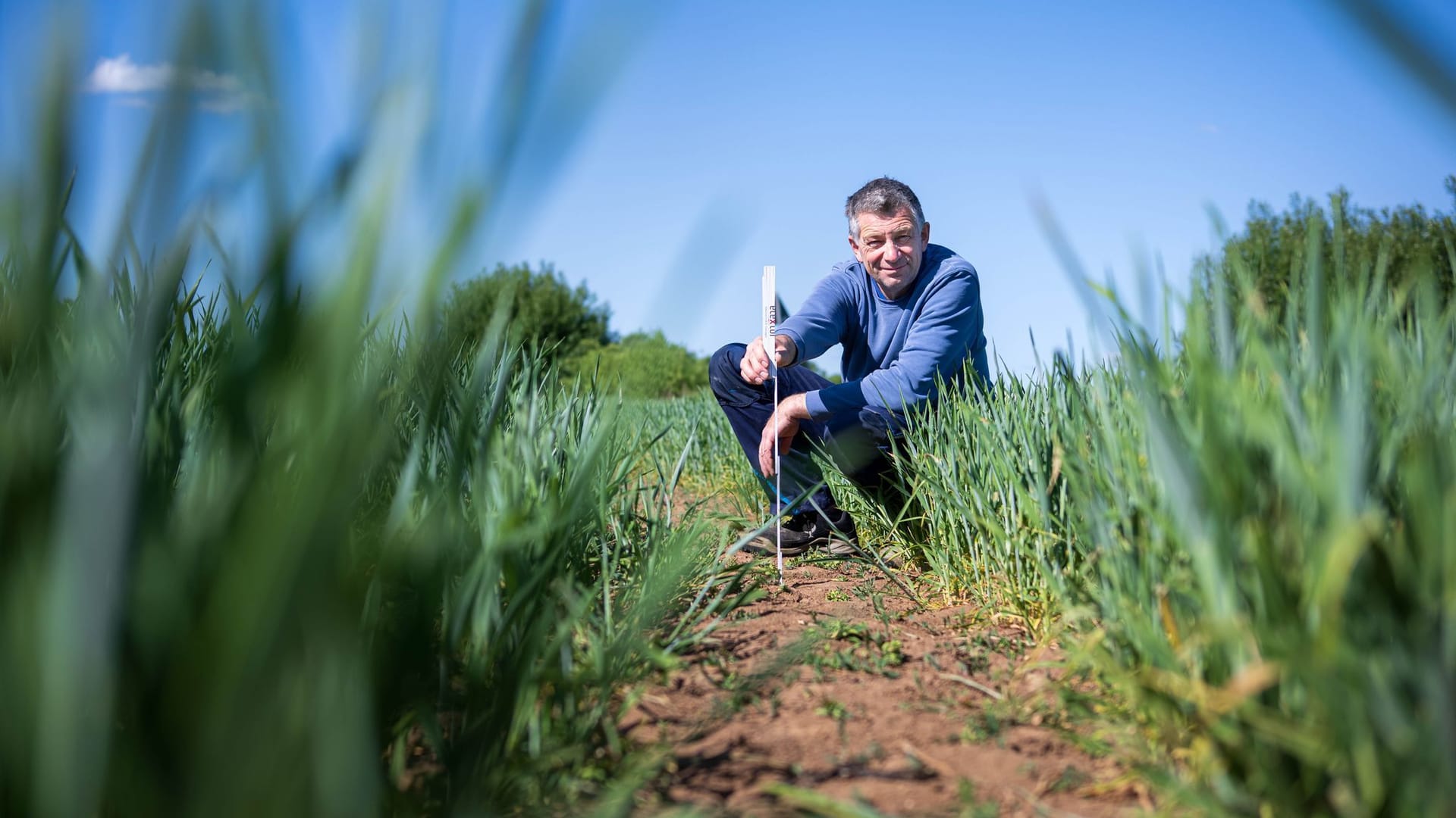Trockenheit in der Landwirtschaft Trockenheit in der Landwirtschaft