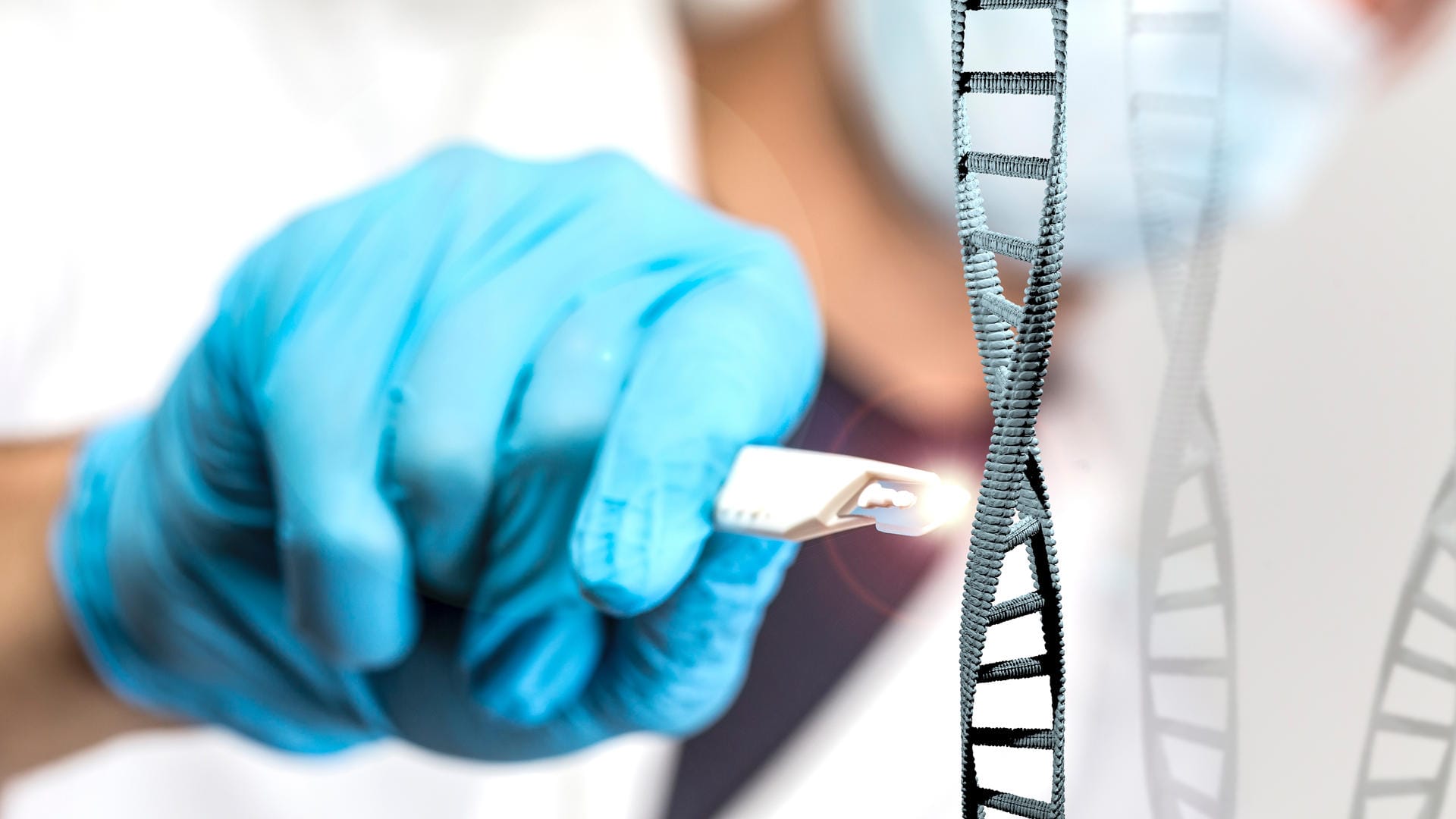 Crispr: US-Forscher haben bei Speisepilzen die Genabschnitte ausgeschaltet, die für die Bräunung nach dem Anschneiden verantwortlich sind. Crispr: US-Forscher haben bei Speisepilzen die Genabschnitte ausgeschaltet, die für die Bräunung nach dem Anschneiden verantwortlich sind.