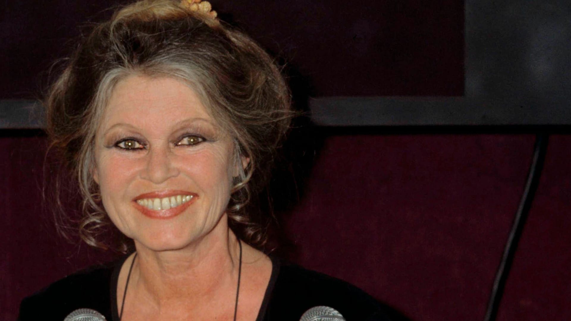 Brigitte Bardot: Sie hat sich aus der Öffentlichkeit zurückgezogen. Brigitte Bardot: Sie hat sich aus der Öffentlichkeit zurückgezogen.