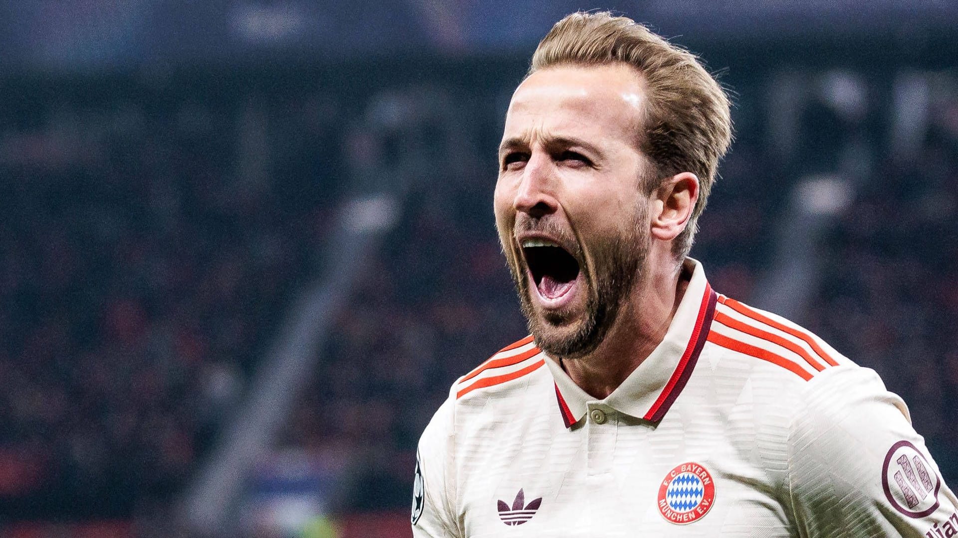 Harry Kane: Er hat in der laufenden Saison bereits 24 Ligatore erzielt. Harry Kane: Er hat in der laufenden Saison bereits 24 Ligatore erzielt.