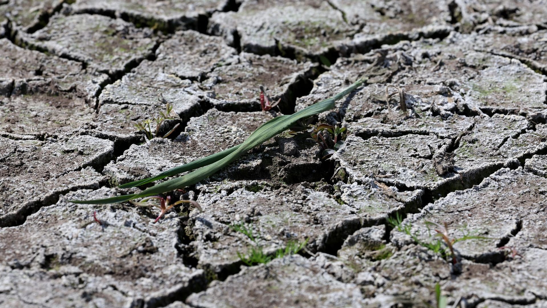 Trockenheit Trockenheit
