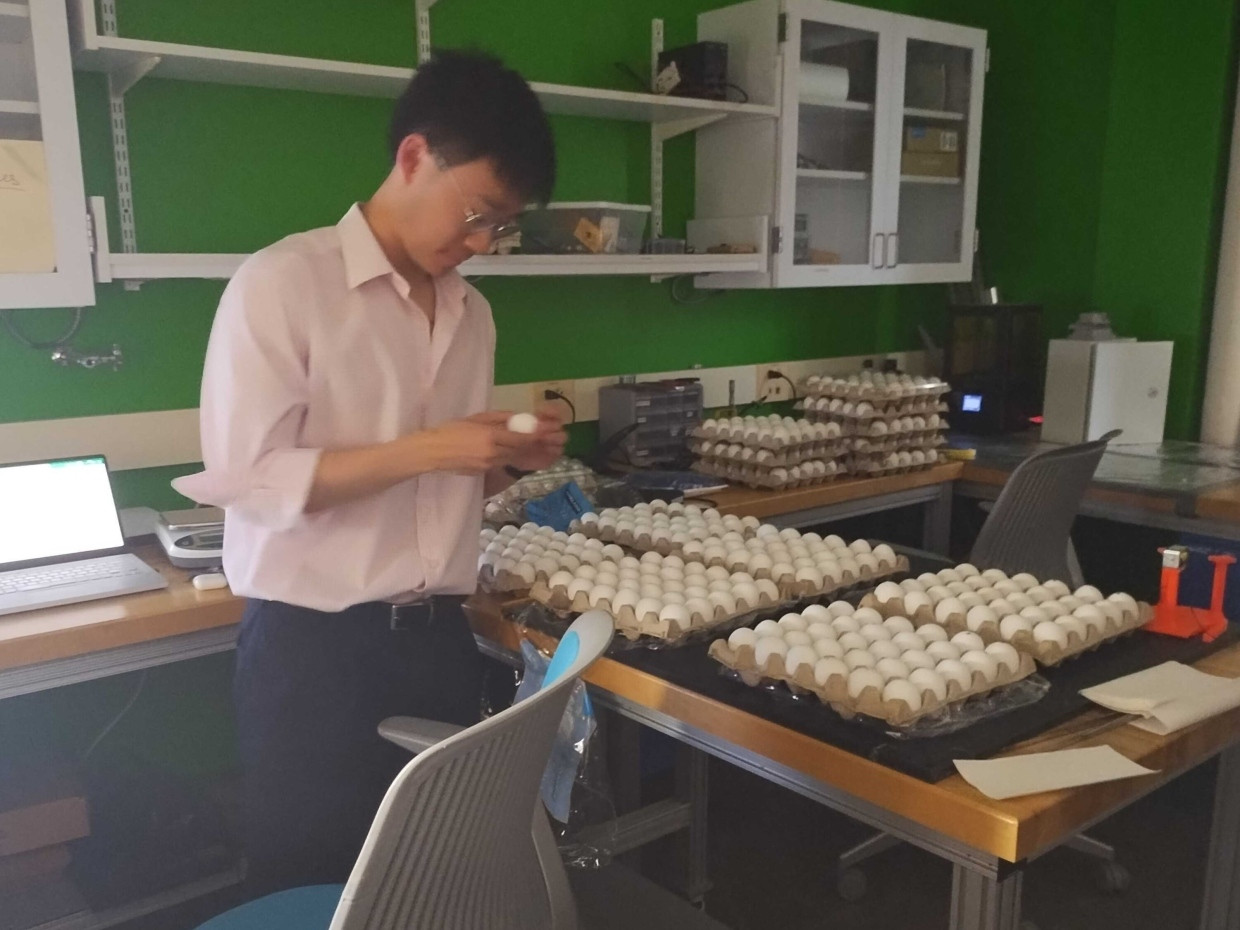 Erstautor Antony Sutanto vermisst EIer vor dem Falltest.