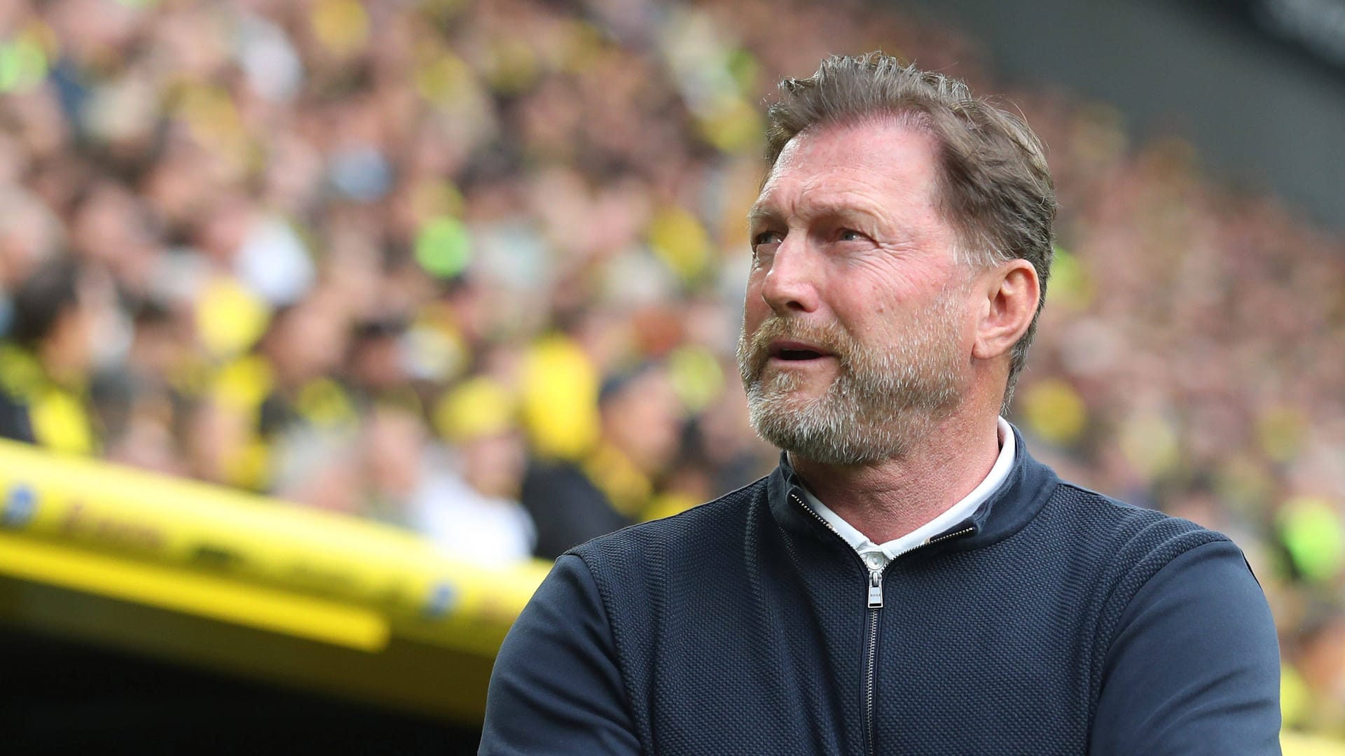 Ralf Hasenhüttl: Er trainiert seit März 2024 den VfL Wolfsburg. Ralf Hasenhüttl: Er trainiert seit März 2024 den VfL Wolfsburg.