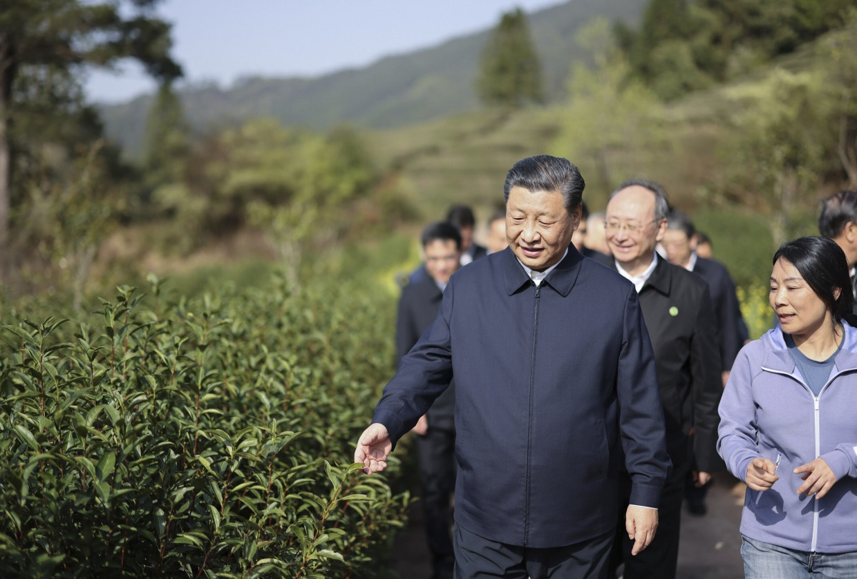 Xi Jinping im März 2021 in einem Teegarten in der Provinz Fujian