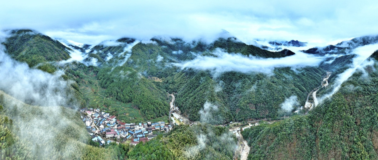 Britische Kolonialisten brachten den Tee aus dem Wuyi-Gebirge ins indische Darjeeling.
