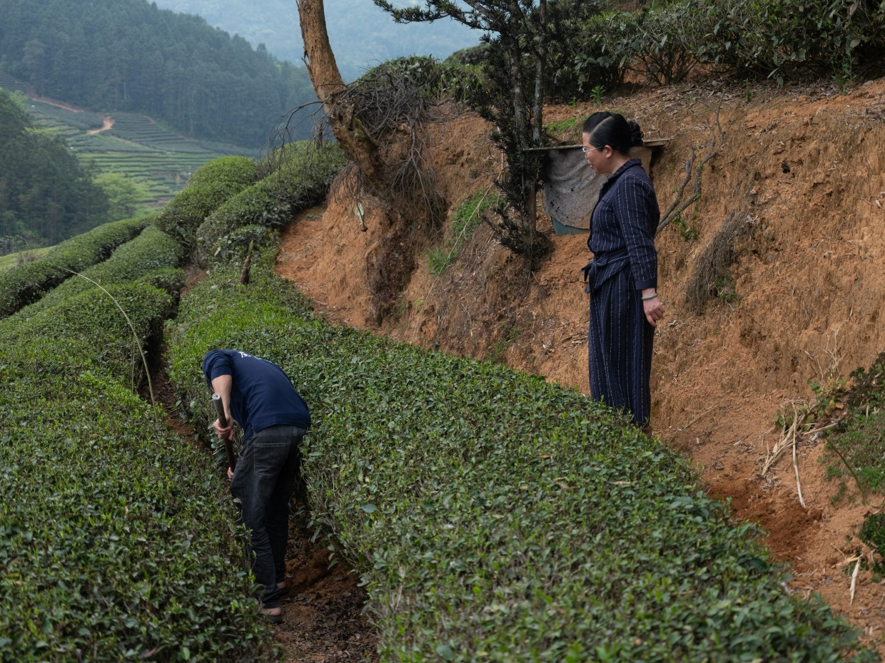 Xu Caiyou und ihr Mann in Wuyishan