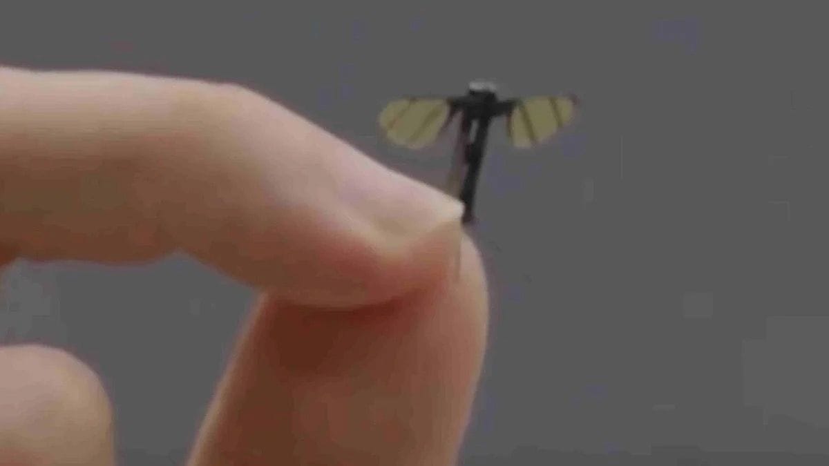 Minidrohne aus China: Das Fluggerät ähnelt einem Insekt. Minidrohne aus China: Das Fluggerät ähnelt einem Insekt.
