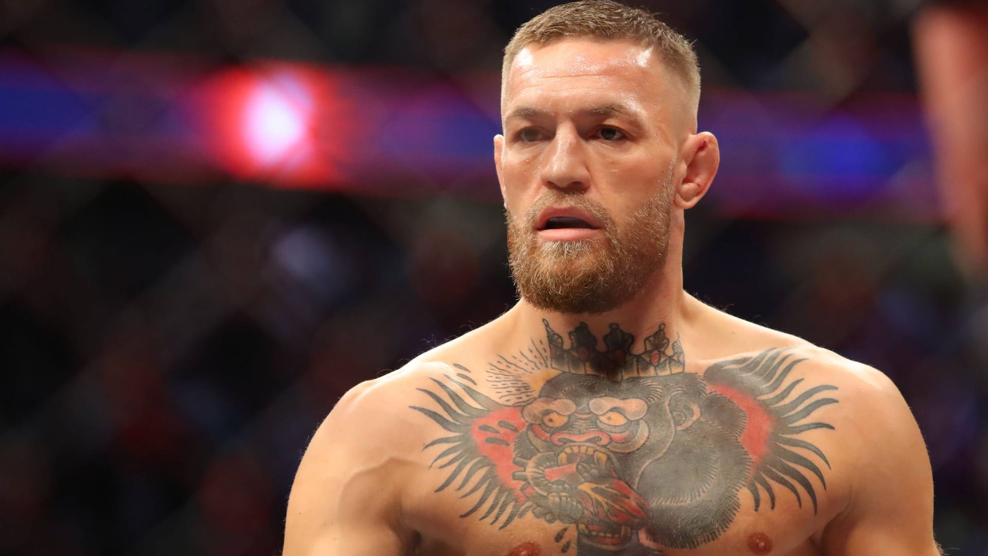Conor McGregor: Er schaffte es als Erster, UFC-Titel in zwei verschiedenen Gewichtsklassen gleichzeitig zu halten. Conor McGregor: Er schaffte es als Erster, UFC-Titel in zwei verschiedenen Gewichtsklassen gleichzeitig zu halten.