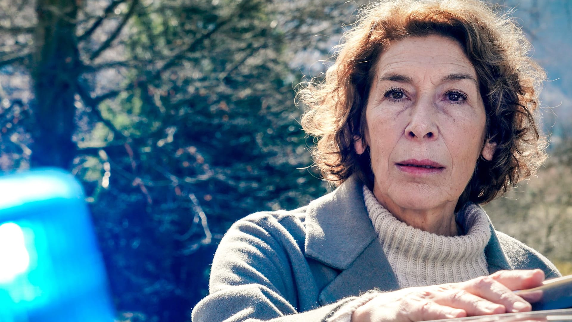 Adele Neuhauser: Im "Tatort" spielt sie die Rolle von Kriminalhauptkommissarin Bibi Fellner. Adele Neuhauser: Im "Tatort" spielt sie die Rolle von Kriminalhauptkommissarin Bibi Fellner.