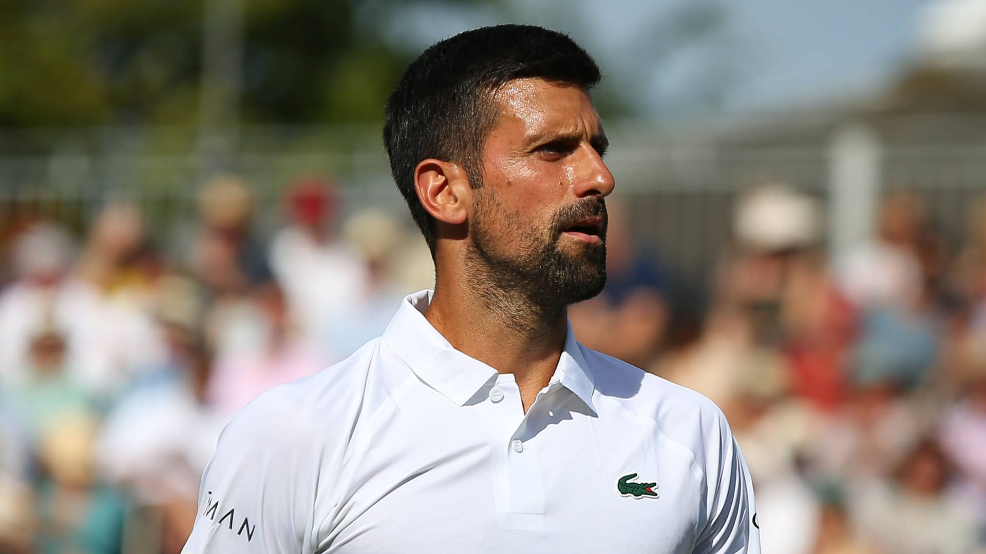 Novak Djoković in Wimbledon: Der Serbe liegt in der Rangliste der Rekordsieger von London mit sieben Erfolgen auf Rang zwei hinter Roger Federer (acht). Novak Djoković in Wimbledon: Der Serbe liegt in der Rangliste der Rekordsieger von London mit sieben Erfolgen auf Rang zwei hinter Roger Federer (acht).