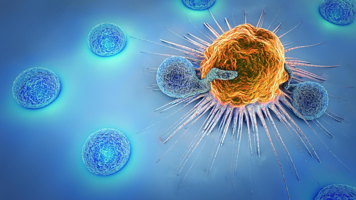 Illustration einer Krebszellen und weißen Blutkörperchen, die zum Immunsystem gehören.