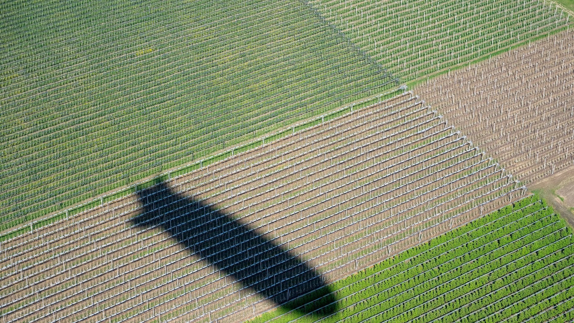 Neuer Zeppelin NT Neuer Zeppelin NT