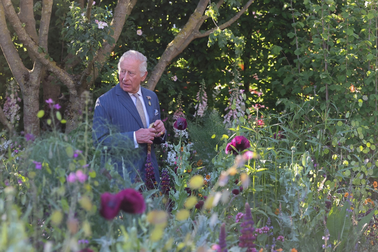 Auch König Charles hat sich den Hundegarten genauer angesehen.