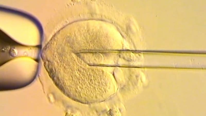 Three Person Baby