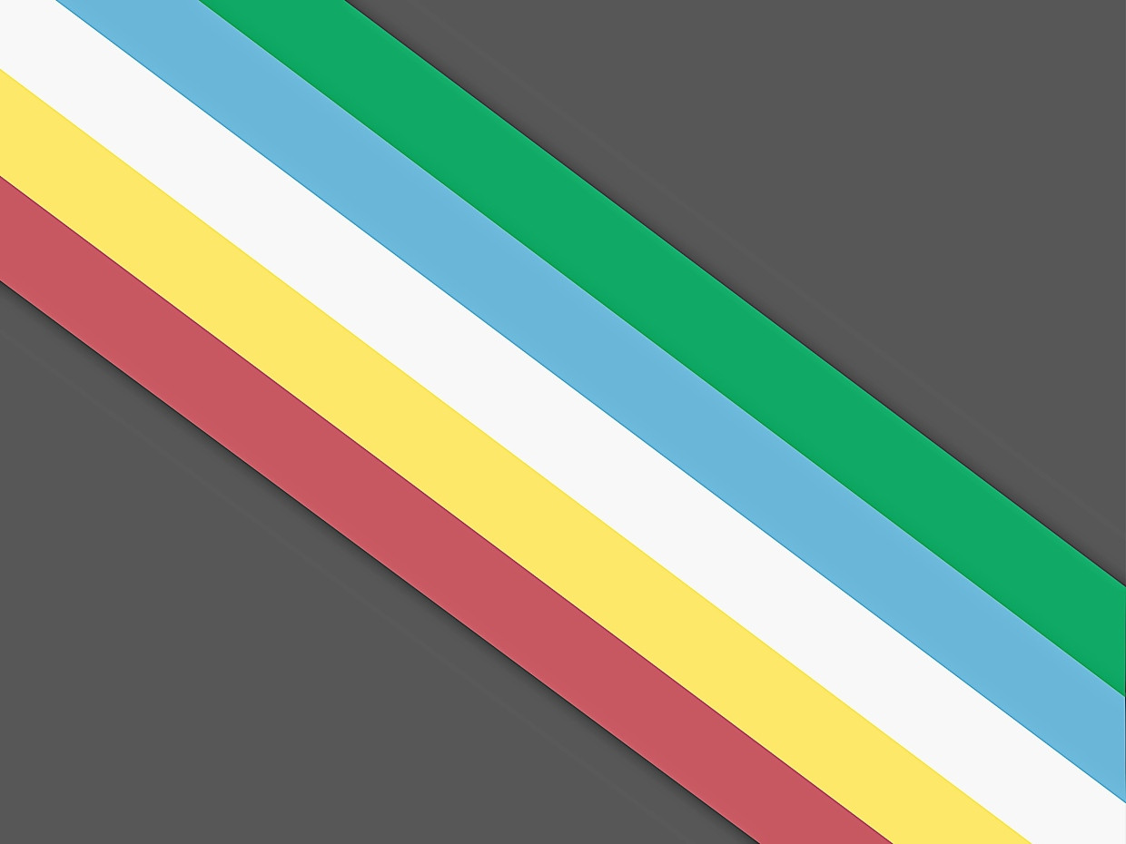Warum nicht auch die "Disability Pride Flag“, die internationale Flagge der Behinderten?