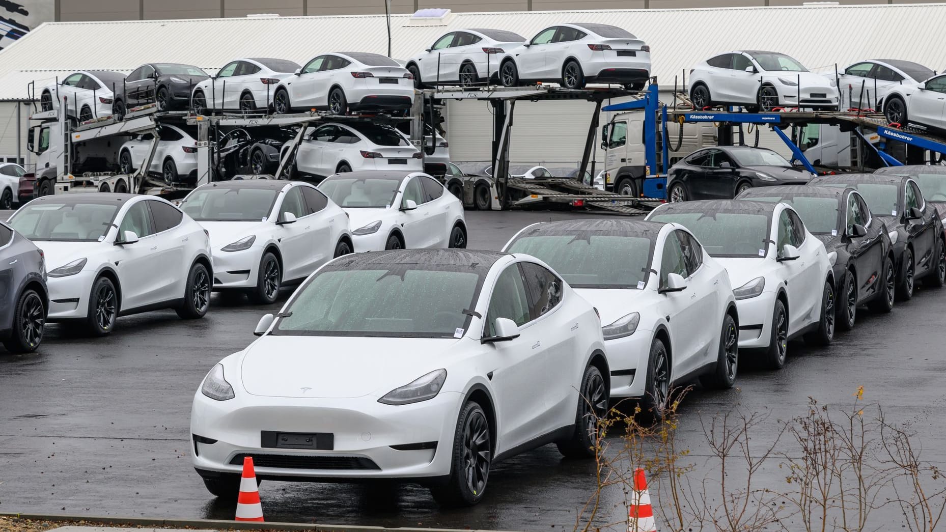 Tesla Model Y Tesla Model Y