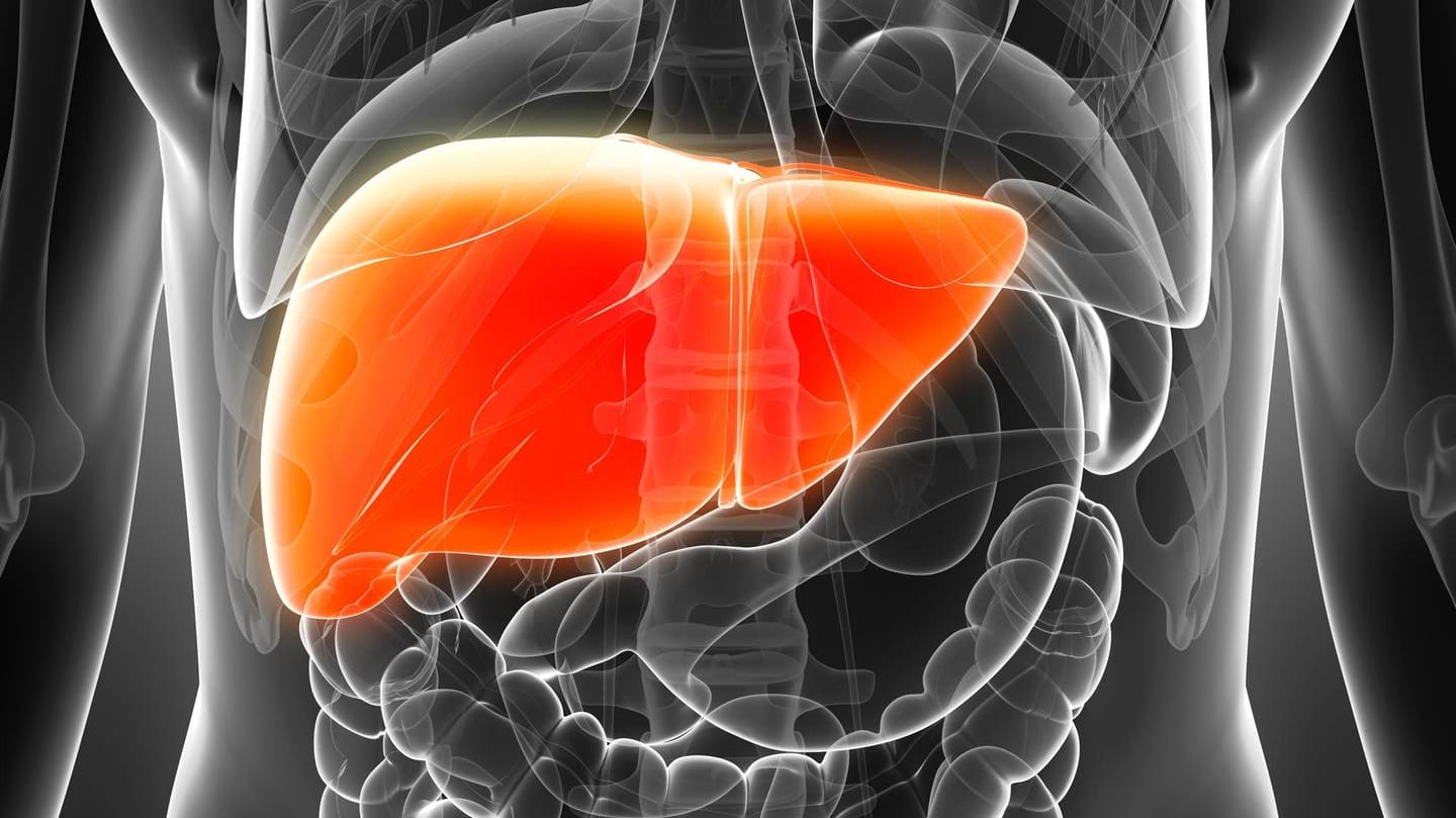 Hepatitis: Die Krankheit verläuft zunächst oft unbemerkt. Hepatitis: Die Krankheit verläuft zunächst oft unbemerkt.