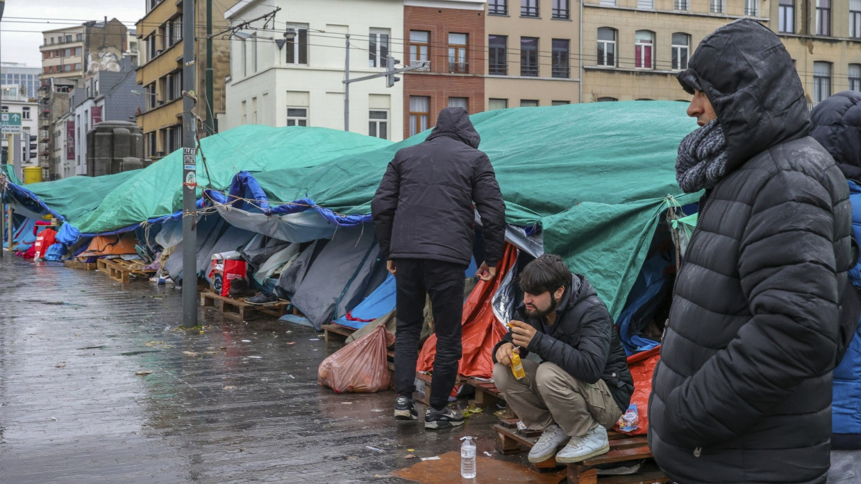 Einige Migranten in Brüssel müssen aufgrund von Platzmangel in Zelten untergebracht werden.