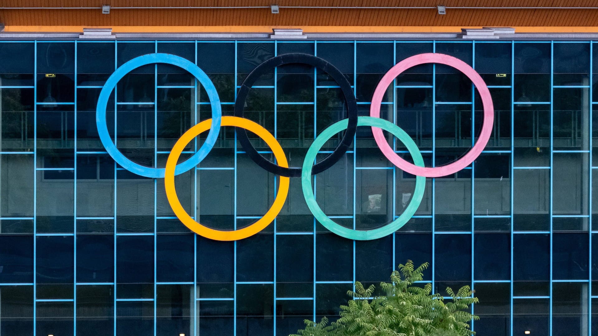 Die Olympischen Ringe: Sind sie 2036 in Katar zu sehen? Die Olympischen Ringe: Sind sie 2036 in Katar zu sehen?