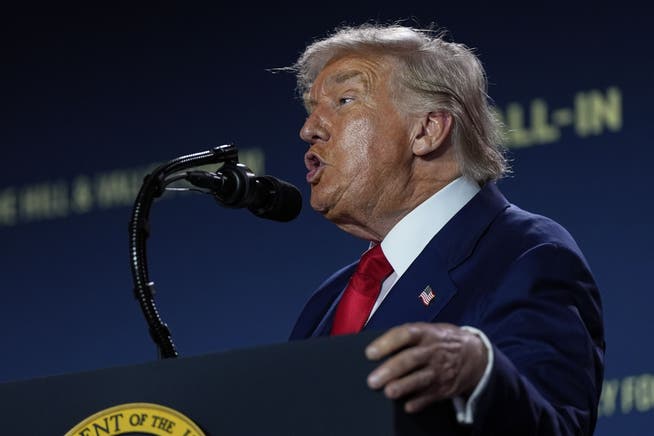 Viele Worte, wenig Konkretes: Donald Trump bei der Vorstellung seiner KI-Agenda.