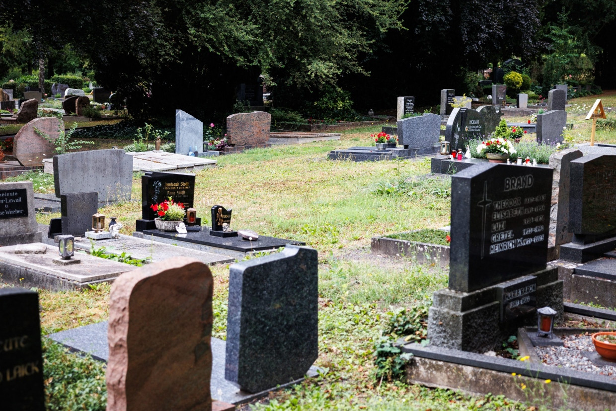 Eine Lücke in einer Gräberreihe auf dem Alzeyer Friedhof
