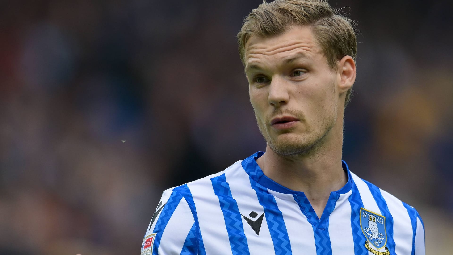 Svante Ingelsson: Er wechselte im vergangenen Sommer von Rostock auf die Insel.